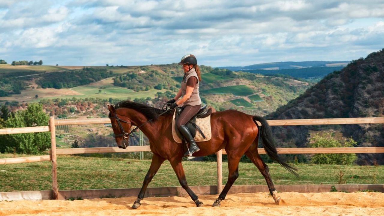 Reiten im Roundpen auf dem Hof Hardthöhe Reiten im Roundpen auf dem Hof Hardthöhe